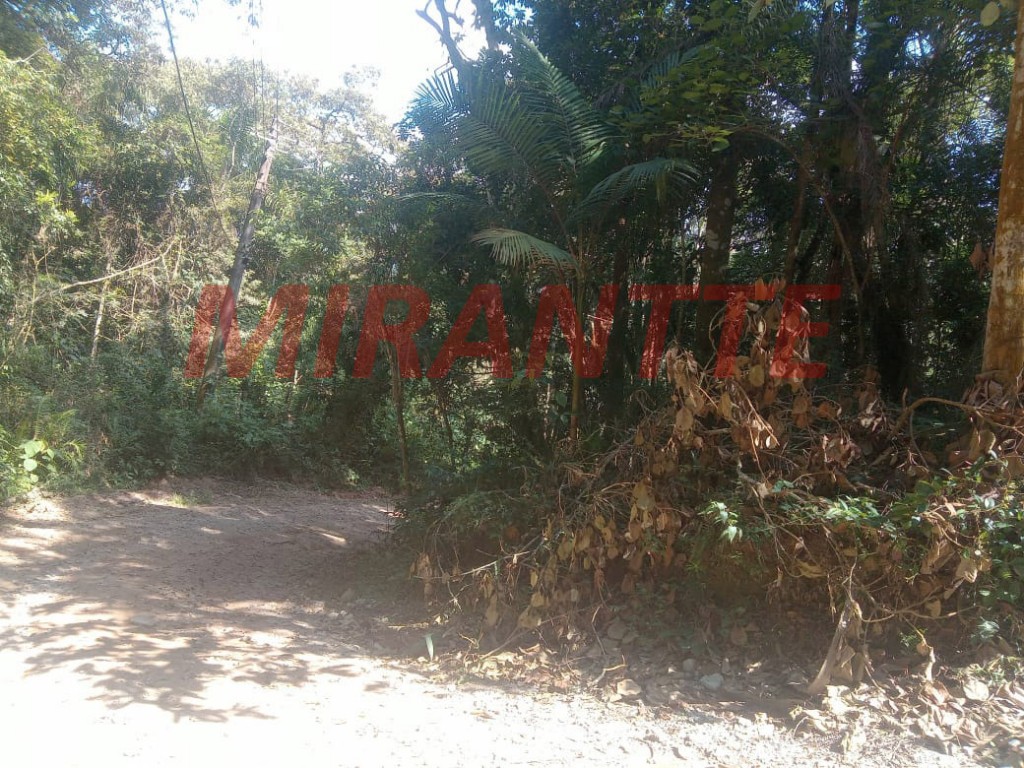 Terreno de 847m² em Serra Da Cantareira