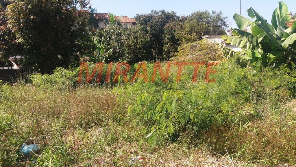 Terreno de 806m² em Tucuruvi