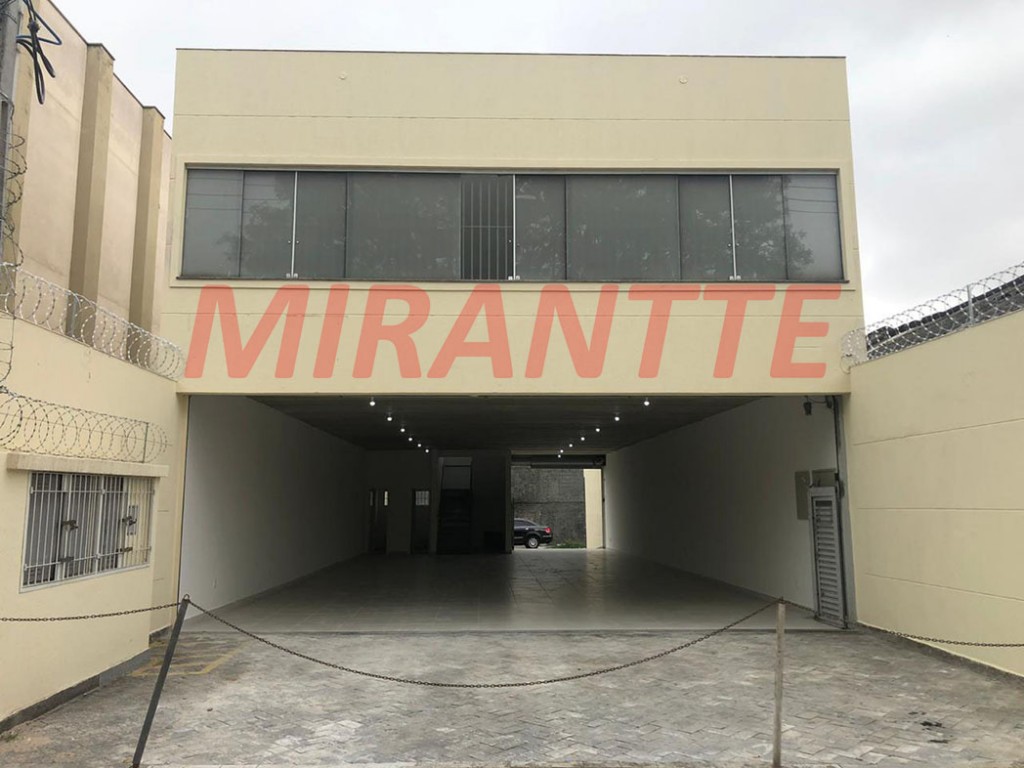 Comercial em Limão