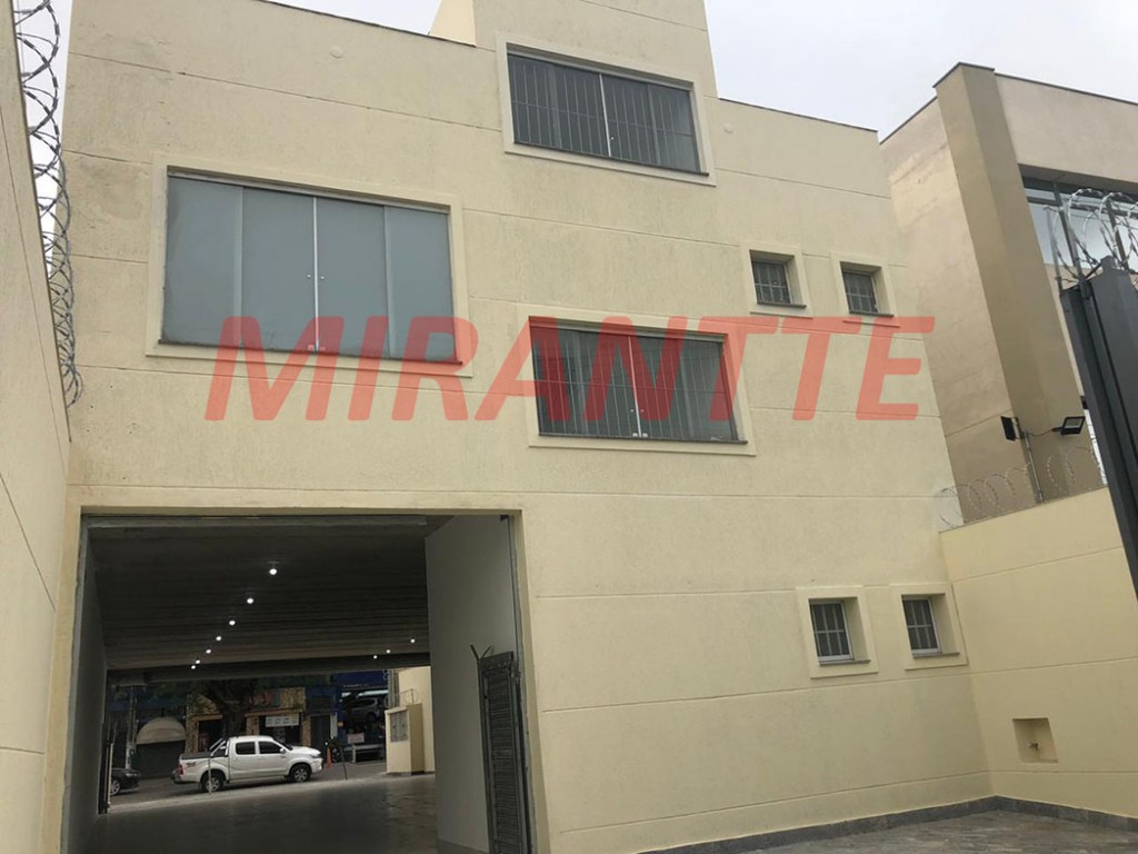 Comercial em Limão