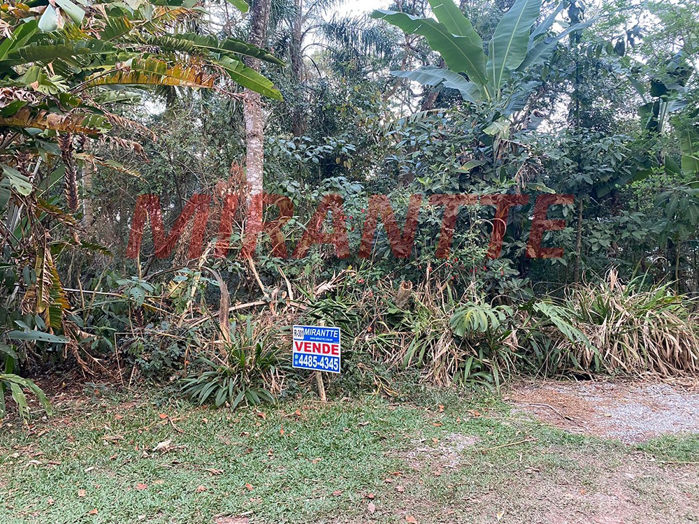 Terreno de 980m² em Serra da Cantareira