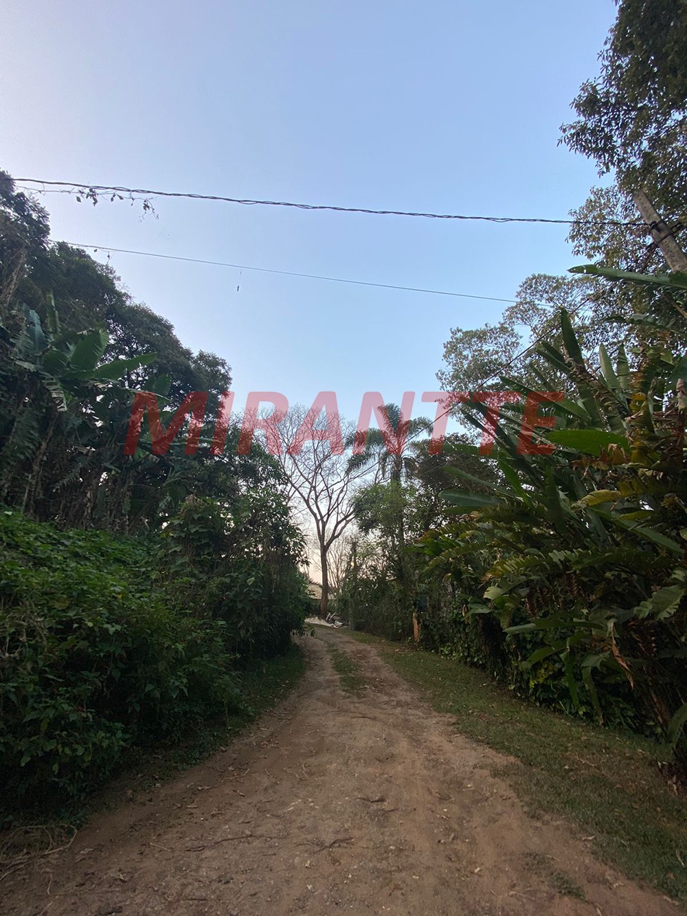 Terreno de 980m² em Serra da Cantareira
