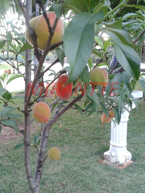 ChÁcara com 3 quartos em Jardim Monte Carlo
