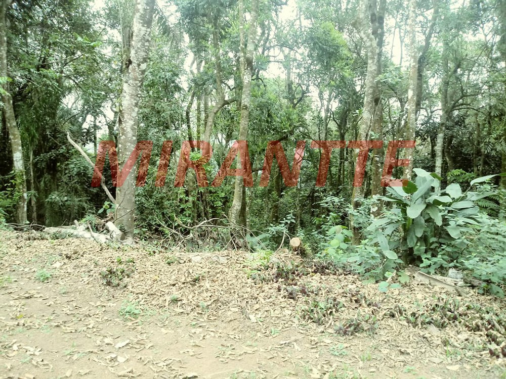 Terreno de 19000m² em Serra Da Cantareira