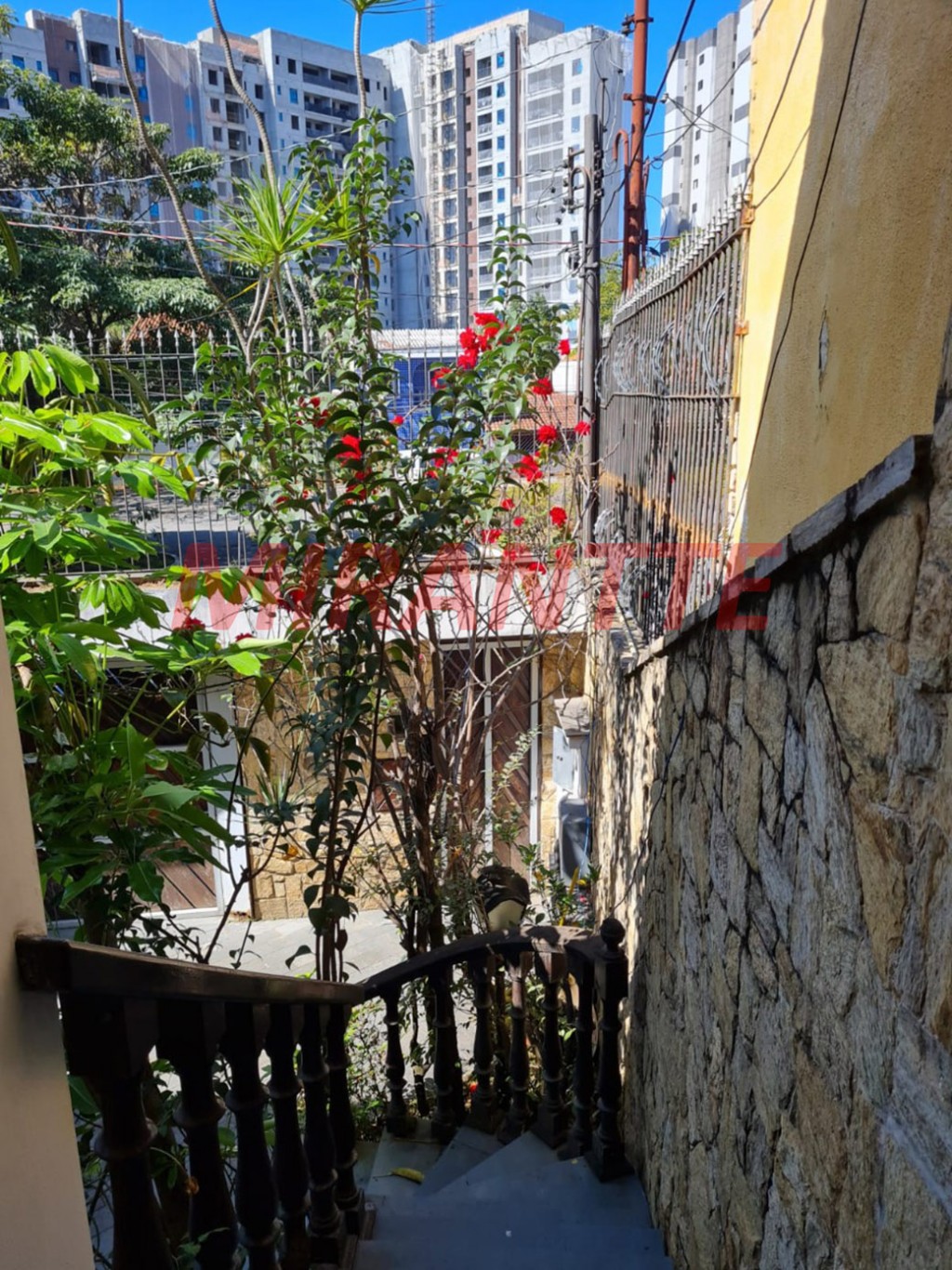 Casa terrea de 252m² com 3 quartos em Santana