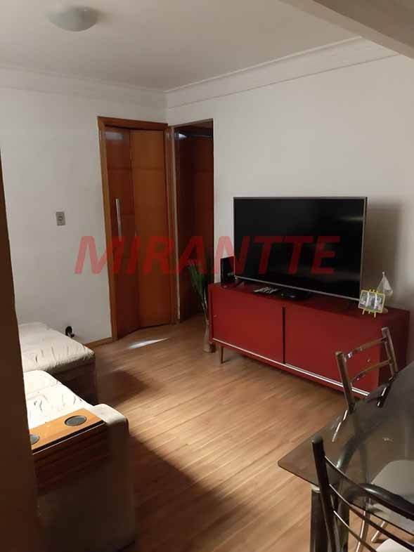Apartamento de 50m² com 2 quartos em Jardim Antartica
