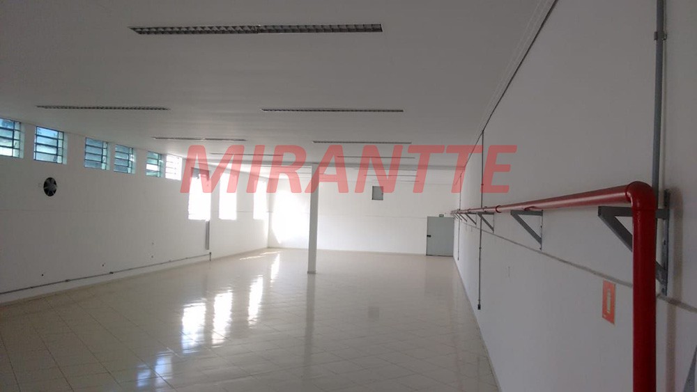 Comercial em Santo Amaro