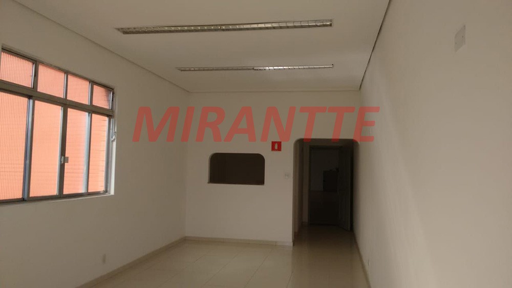 Comercial em Santo Amaro