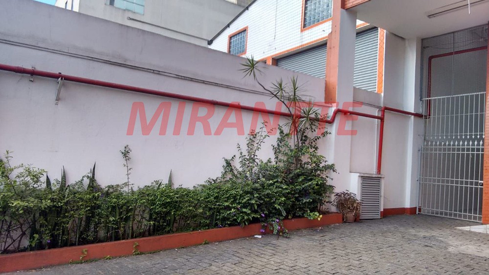 Comercial em Santo Amaro