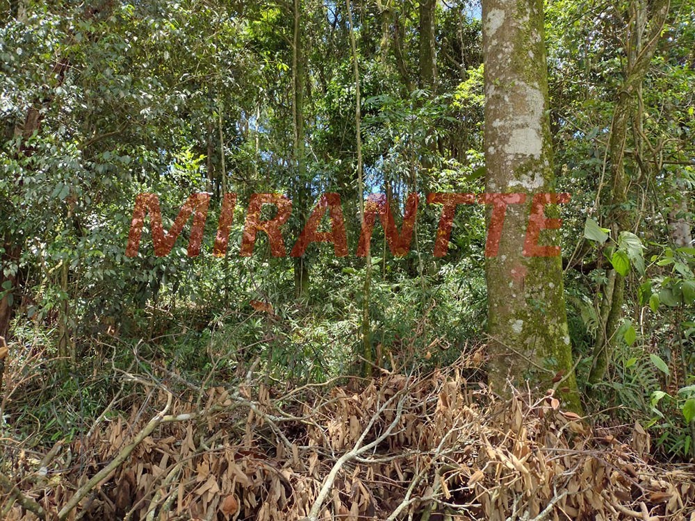 Terreno de 886m² em Jardim Samambaia – Mairiporã