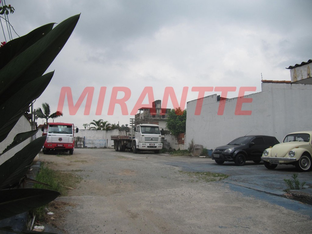 Terreno de 1055m² em Vila Albertina