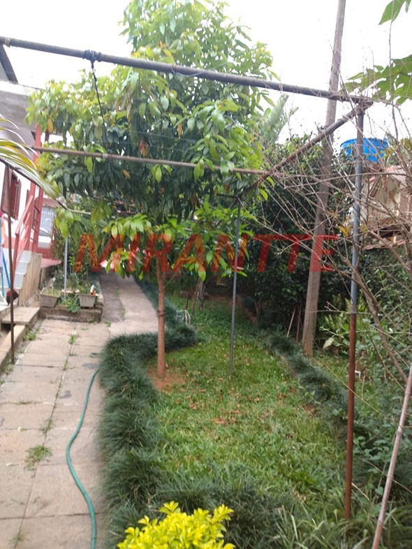 Casa terrea com 3 quartos em Vila Mazzei
