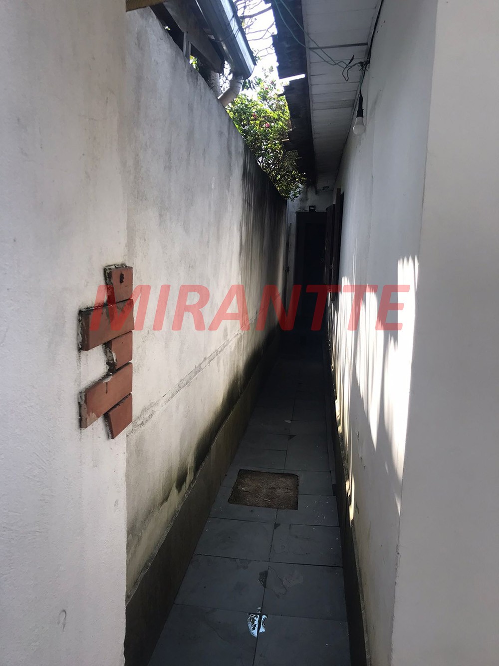 Casa terrea de 249m² com 3 quartos em Horto Florestal