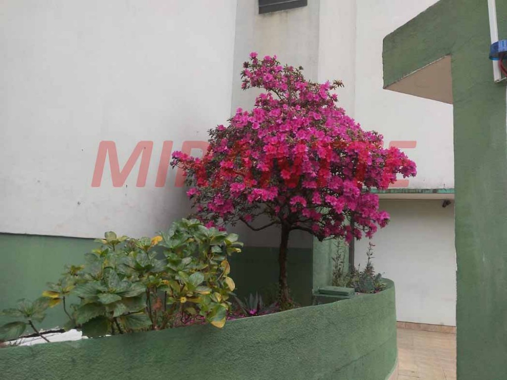 Apartamento de 56m² com 2 quartos em Picanço