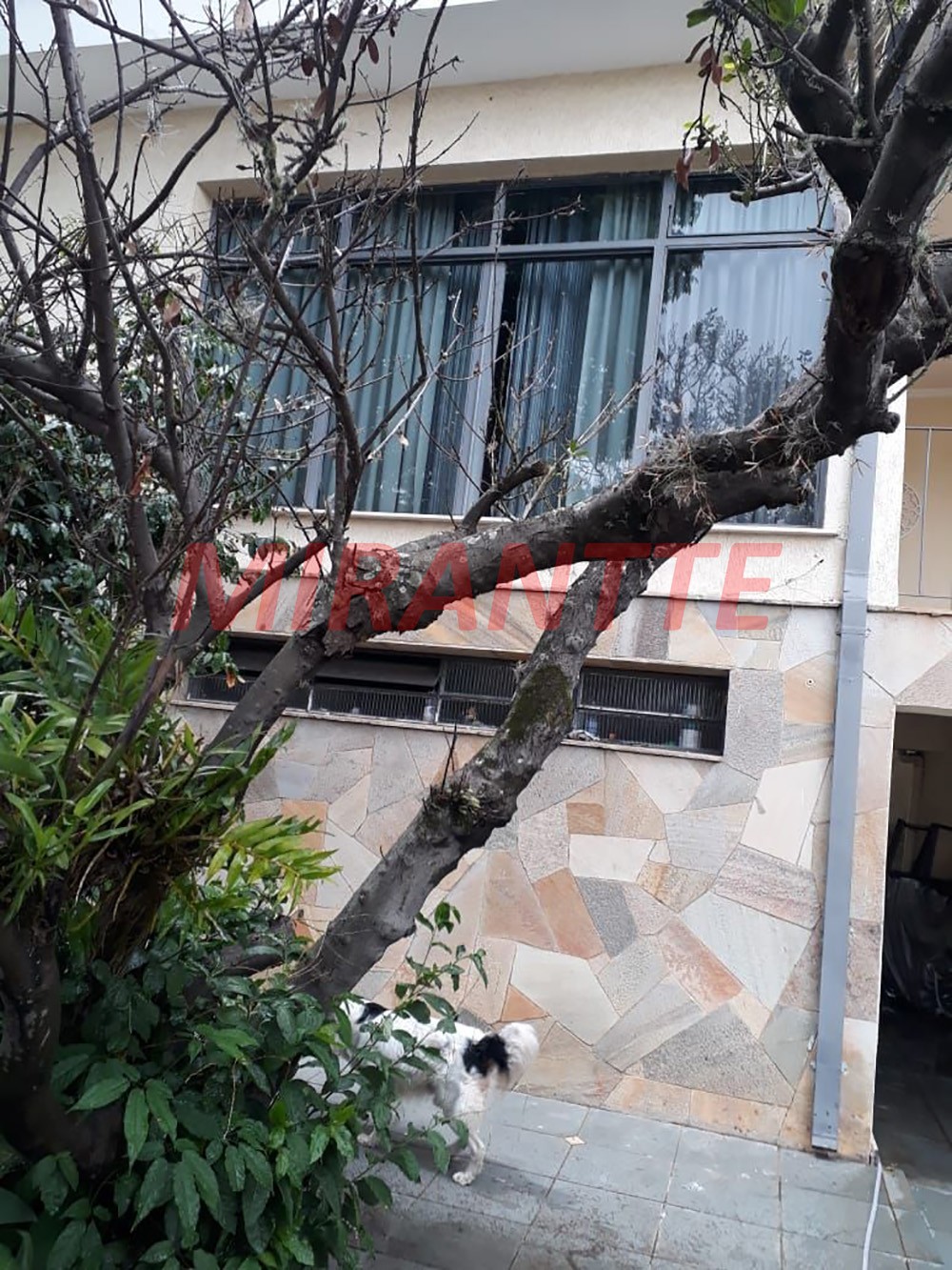 Sobrado de 230m² com 3 quartos em Casa Verde Alta