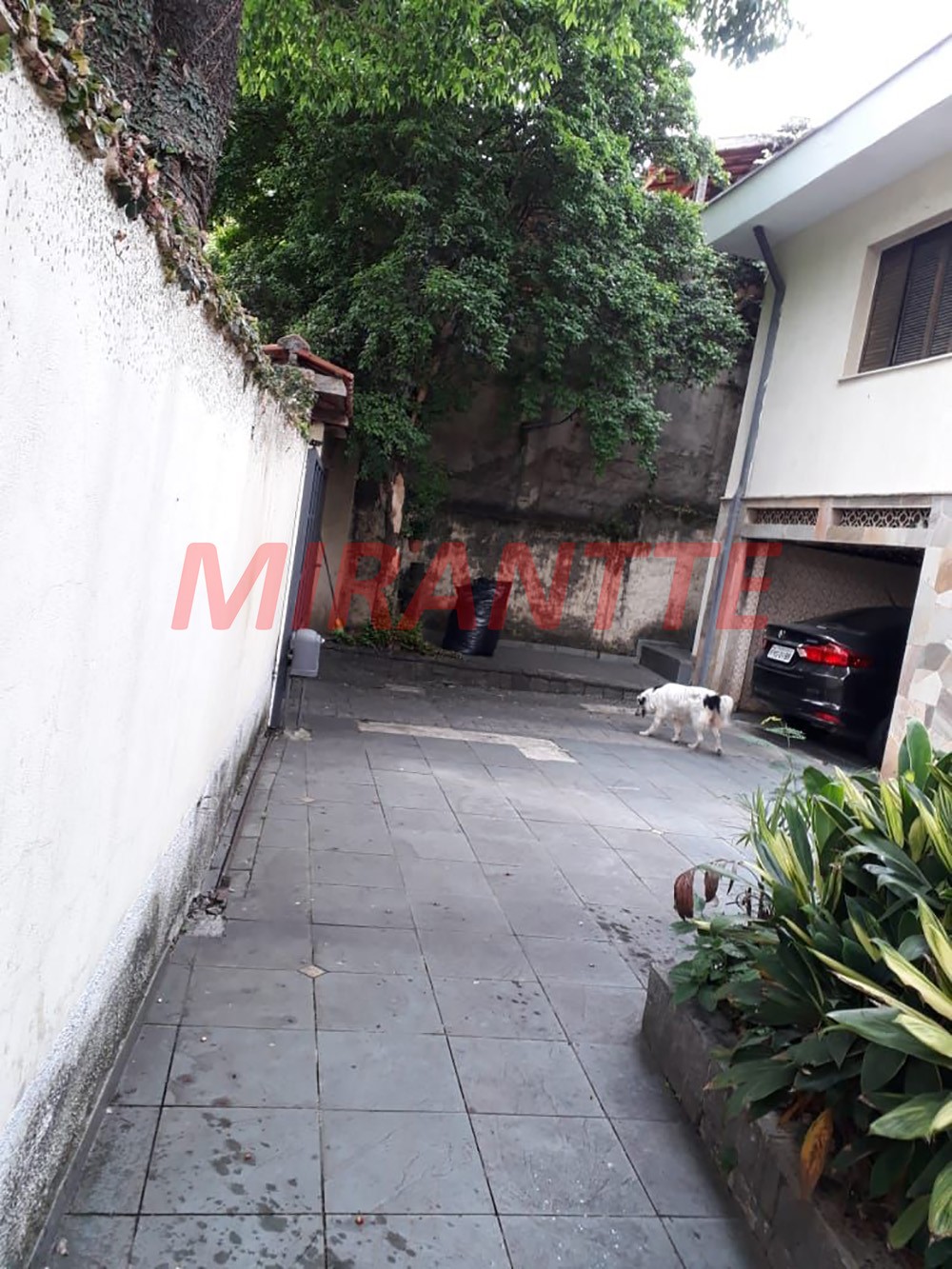 Sobrado de 230m² com 3 quartos em Casa Verde Alta