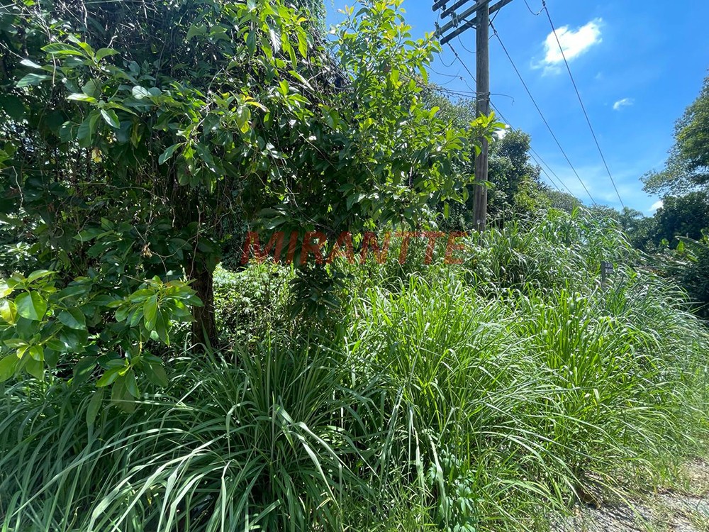 Terreno de 896m² em Serra da Cantareira