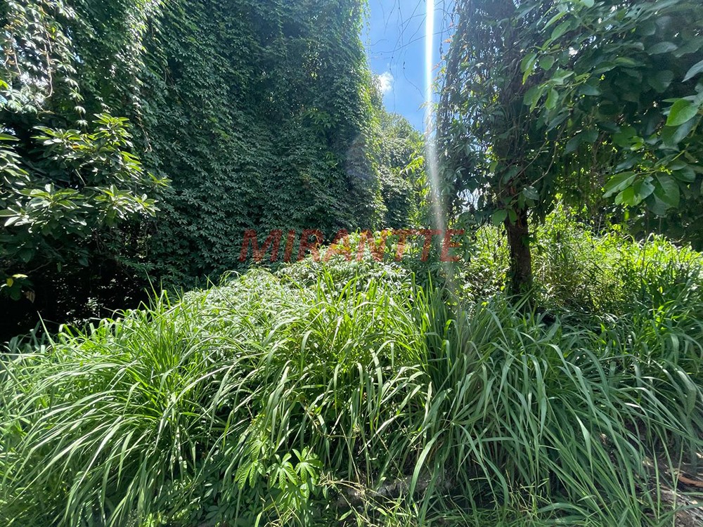 Terreno de 896m² em Serra da Cantareira