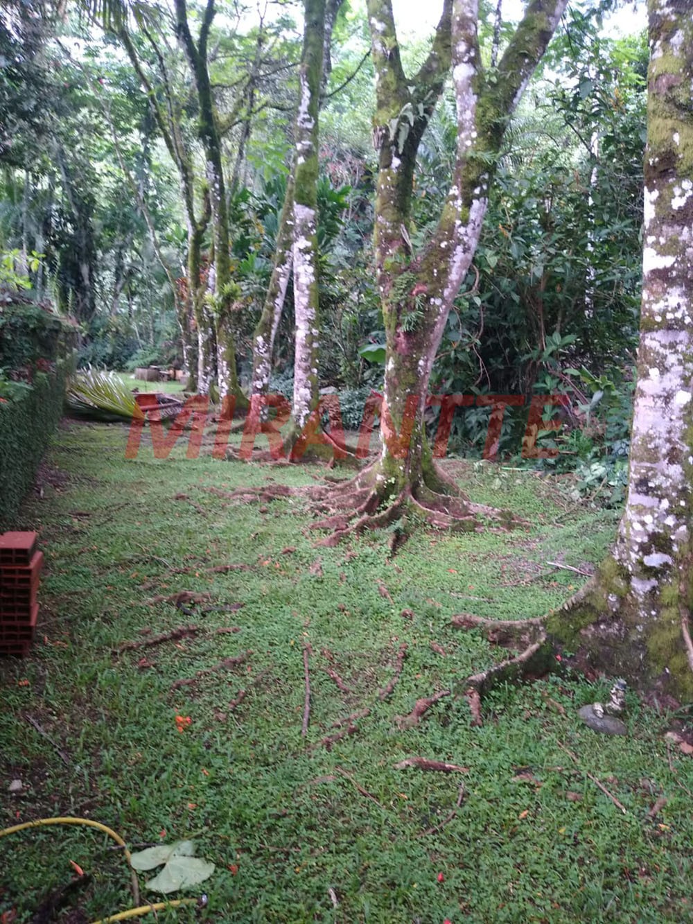 ChÁcara com 12 quartos em CENTRO