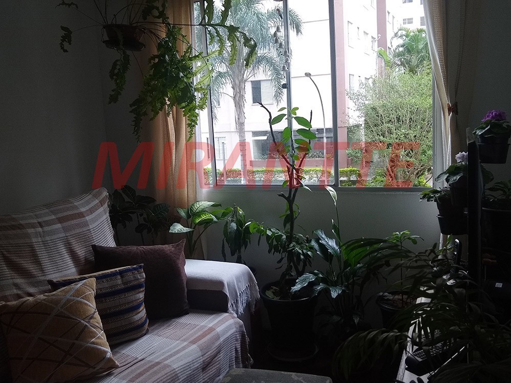 Apartamento de 50m² com 2 quartos em Jardim Peri