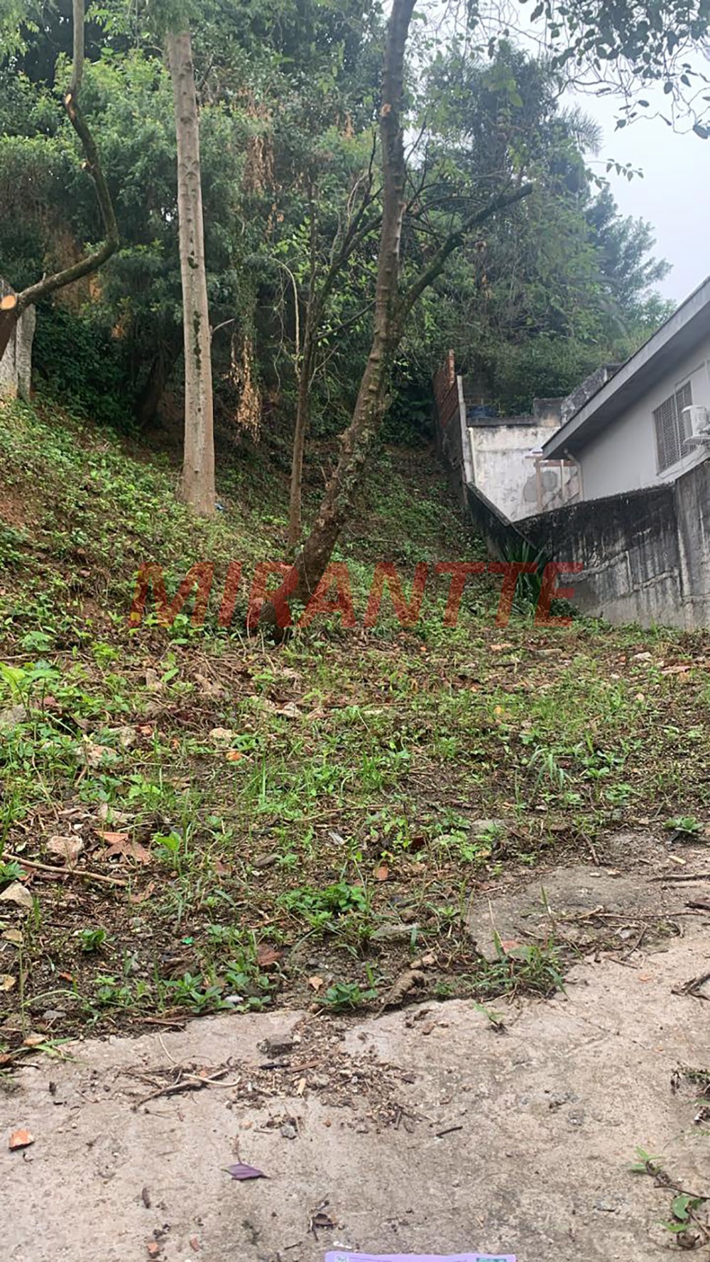 Terreno de 533m² em Vila Gustavo