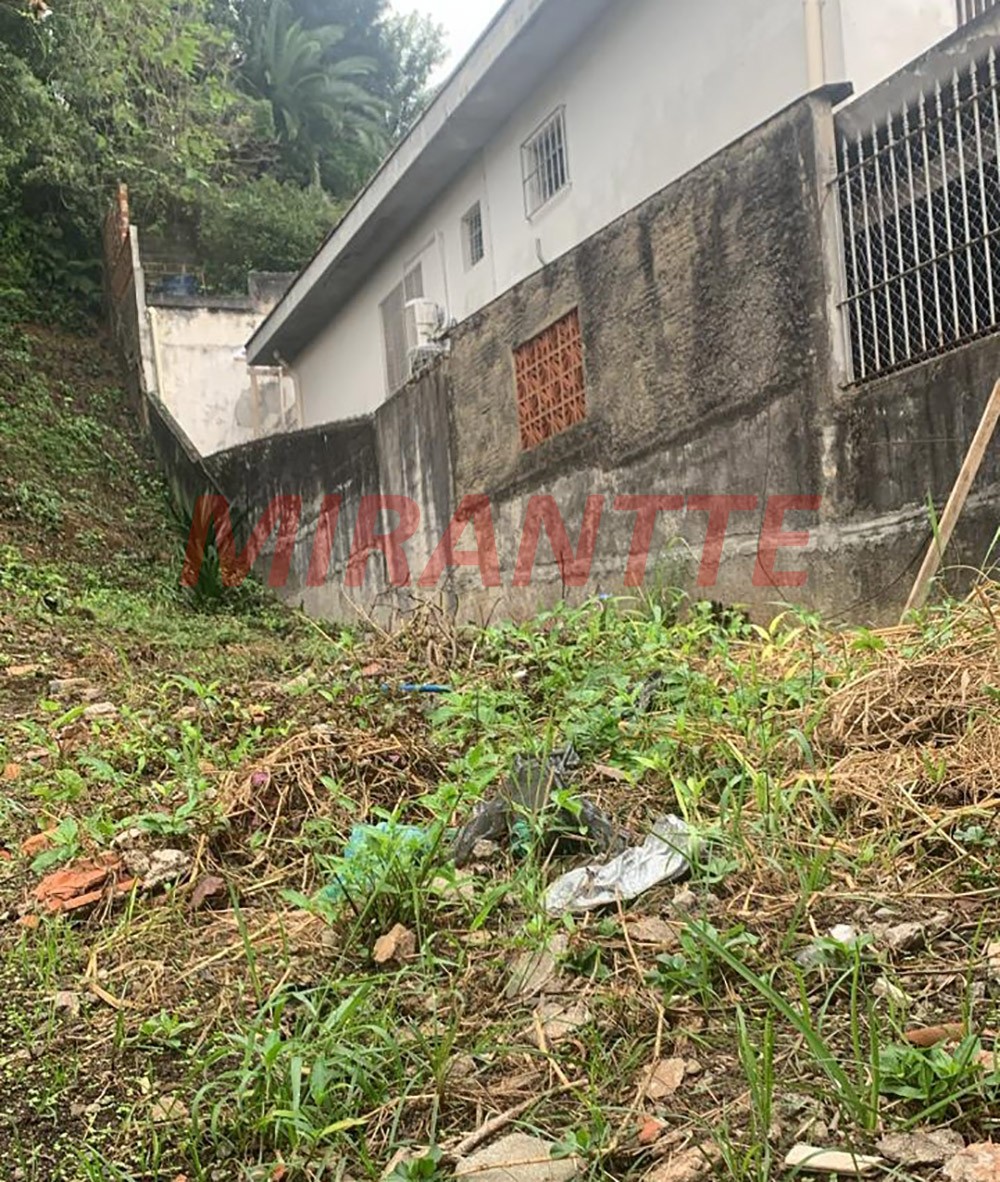 Terreno de 533m² em Vila Gustavo