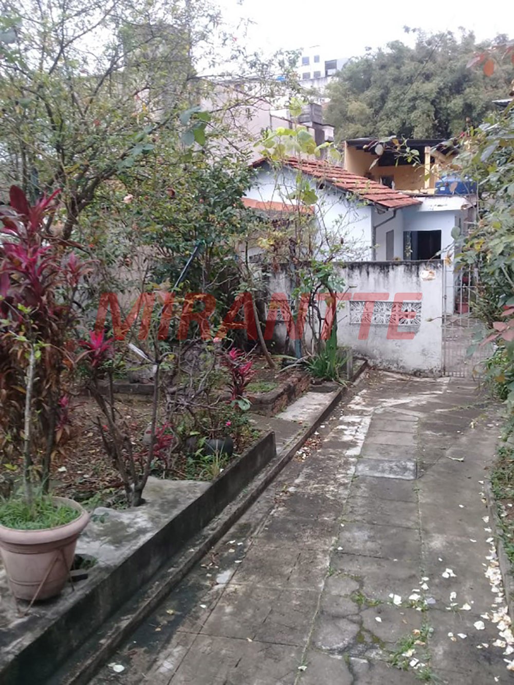 Terreno de 491m² em Vila Amelia