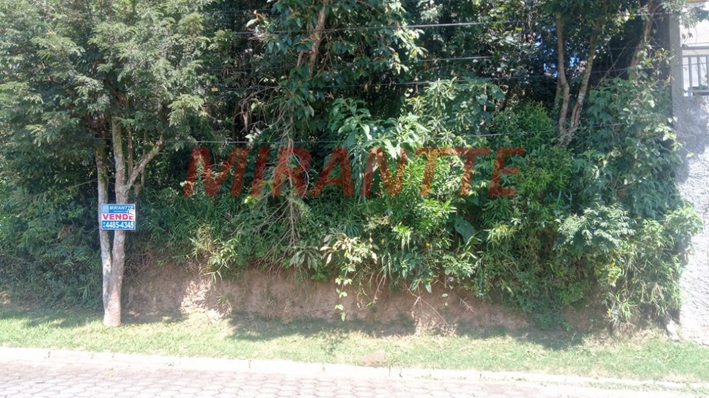 Terreno de 1250m² em Centro – Mairiporã