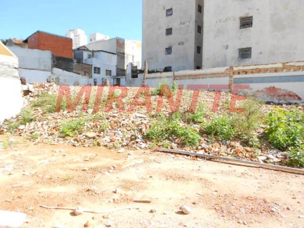Terreno de 1100m² em Cambuci
