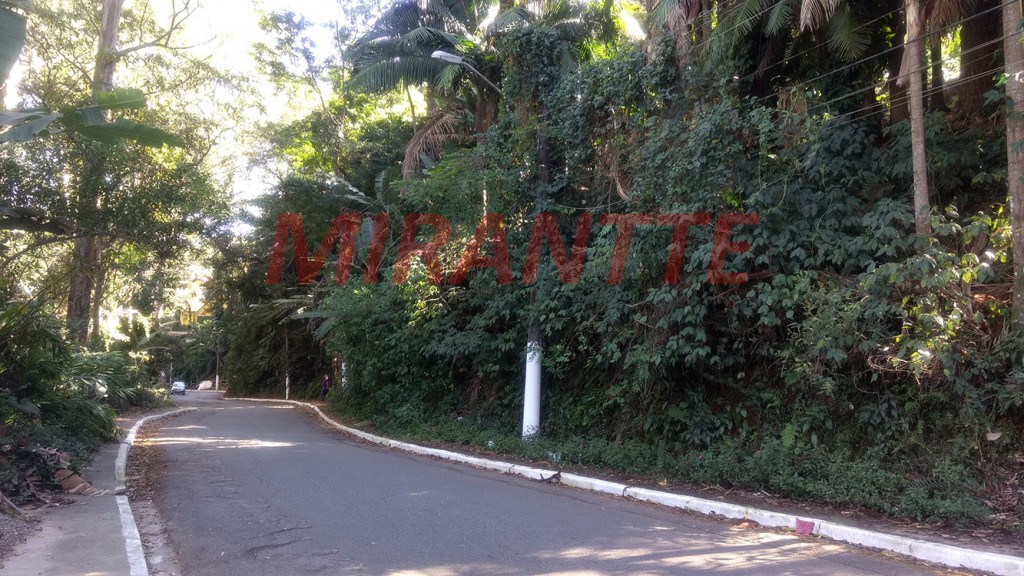 Terreno de 5.033m² em Vila Albertina