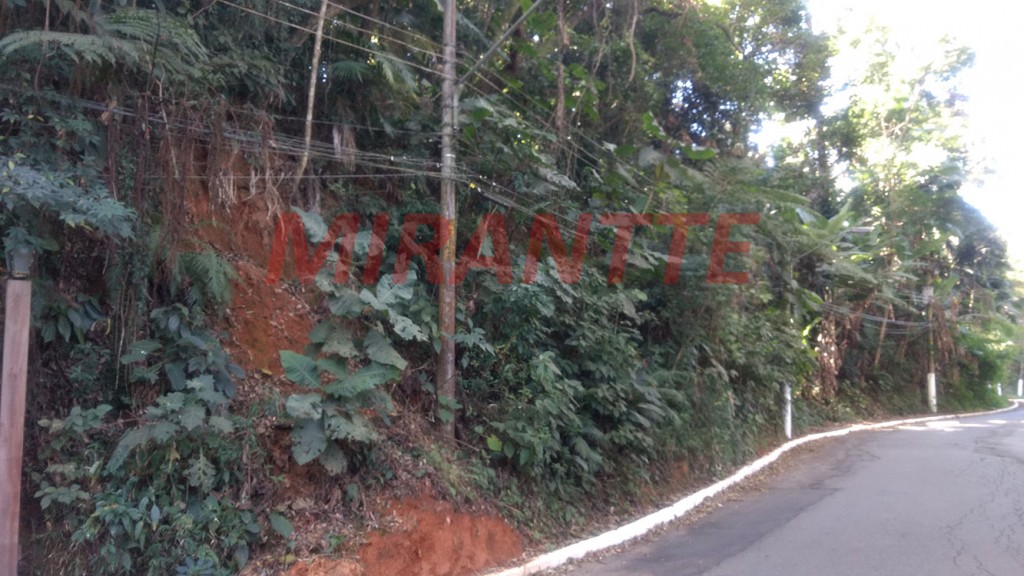 Terreno de 5.033m² em Vila Albertina
