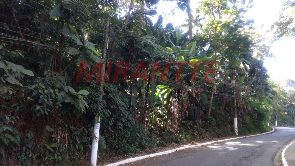 Terreno de 5.033m² em Vila Albertina