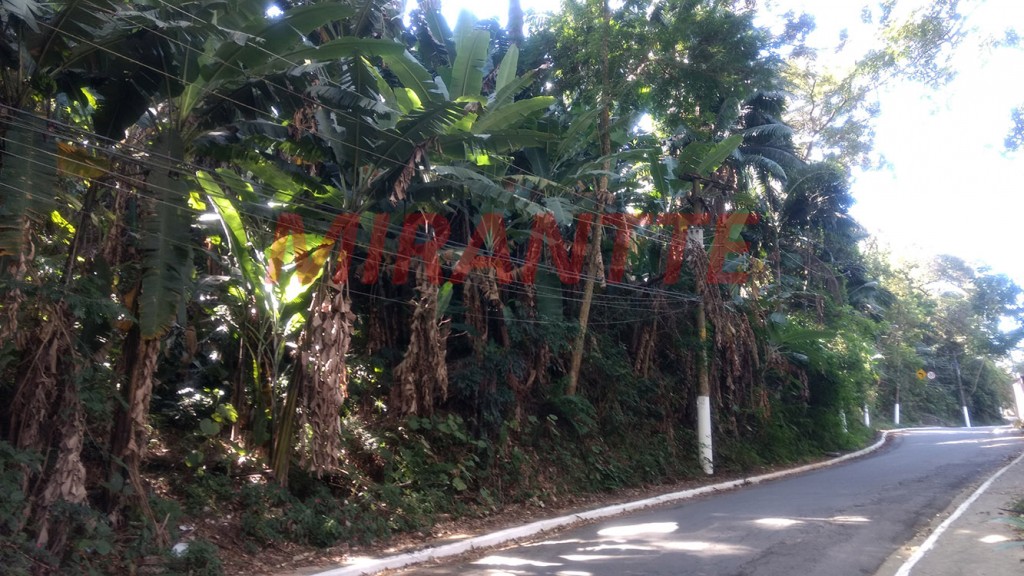 Terreno de 5.033m² em Vila Albertina