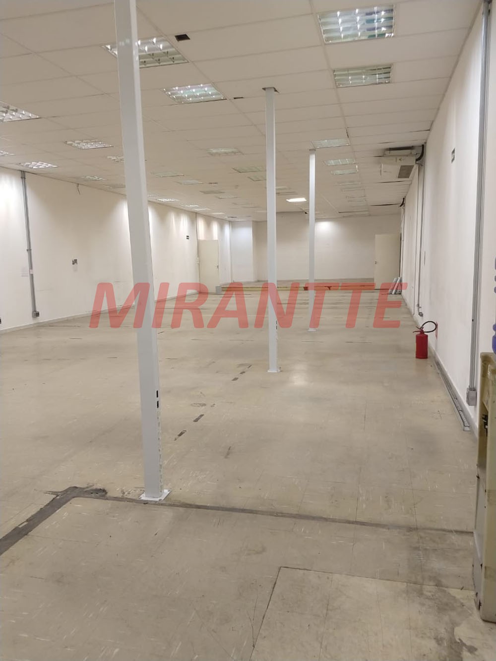 Comercial de 2600m² em Vila das Palmeiras