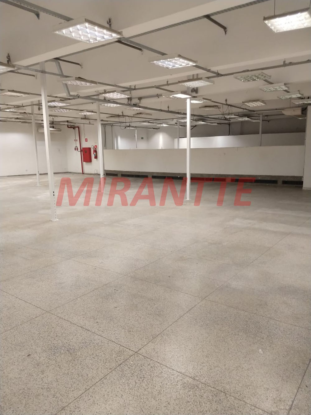 Comercial de 2600m² em Vila das Palmeiras