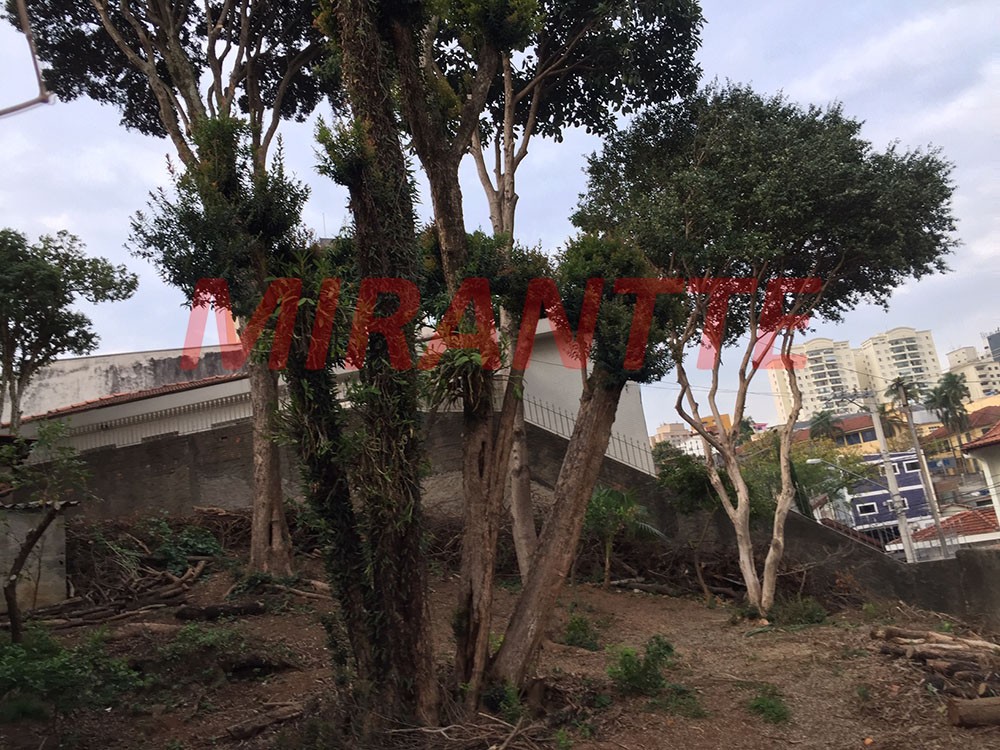 Terreno de 617m² em Vila Maria