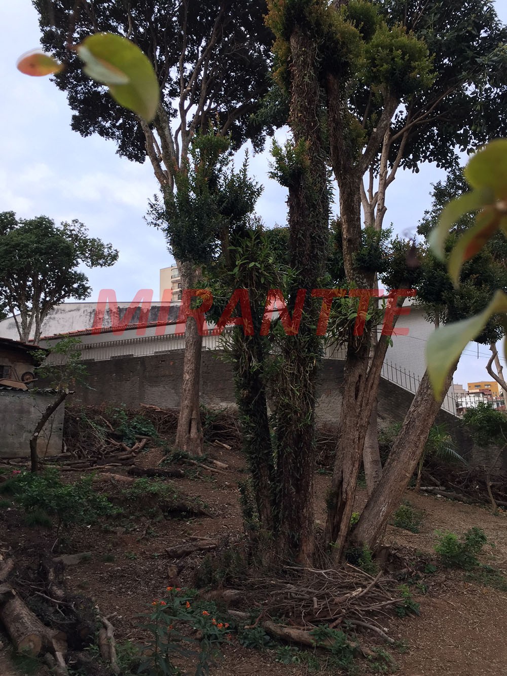 Terreno de 617m² em Vila Maria