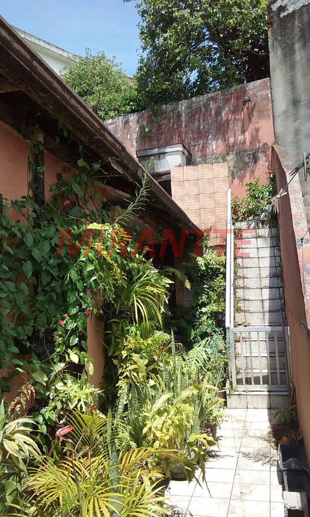 Terreno de 156m² em Vila Isolina Mazzei