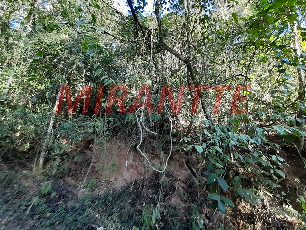 Terreno de 1184m² em Serra Da Cantareira