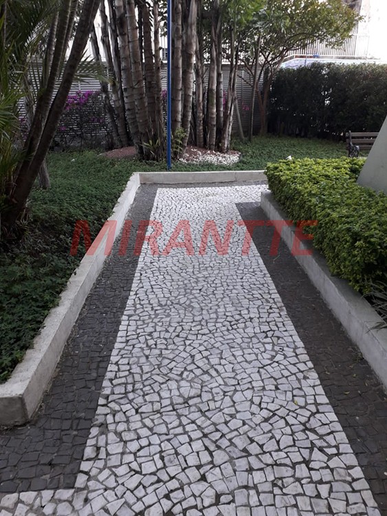Apartamento de 36m² com 1 quartos em Cambuci