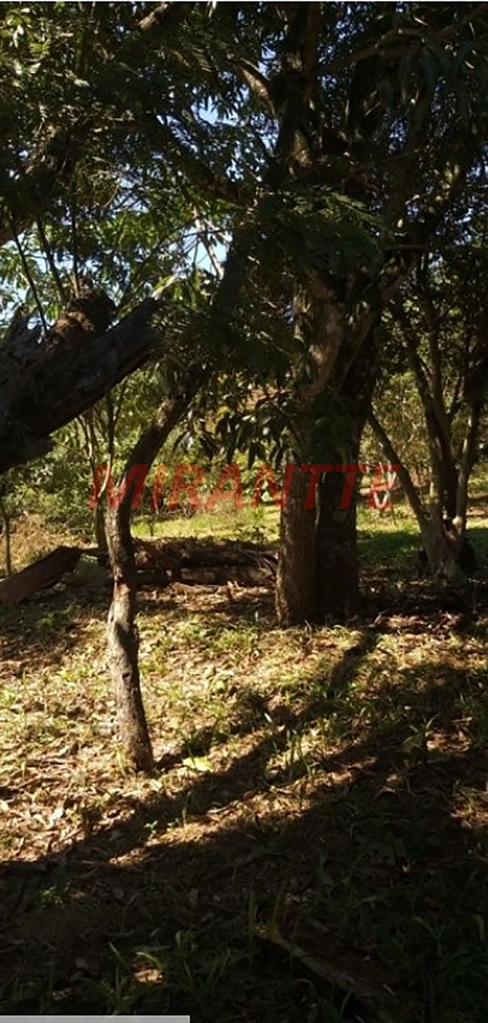 Terreno de 1750m² em PQ. VOTORANTIM