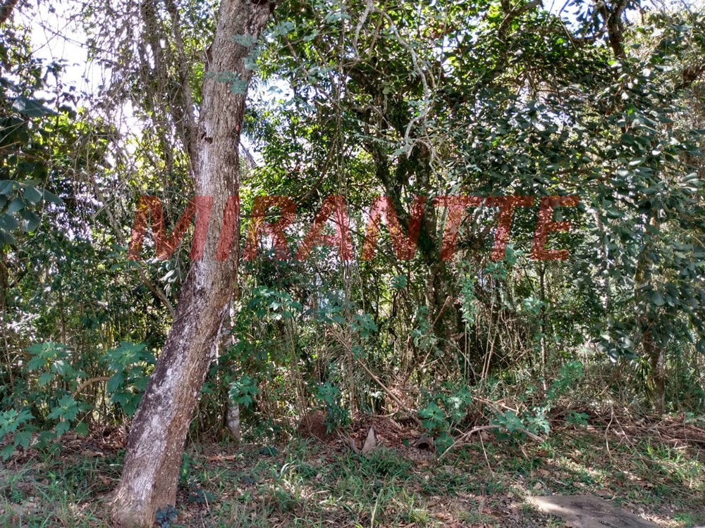 Terreno de 1836m² em Serra Da Cantareira
