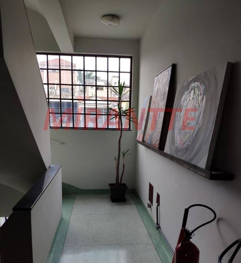 Comercial em Vila Firmiano Pinto