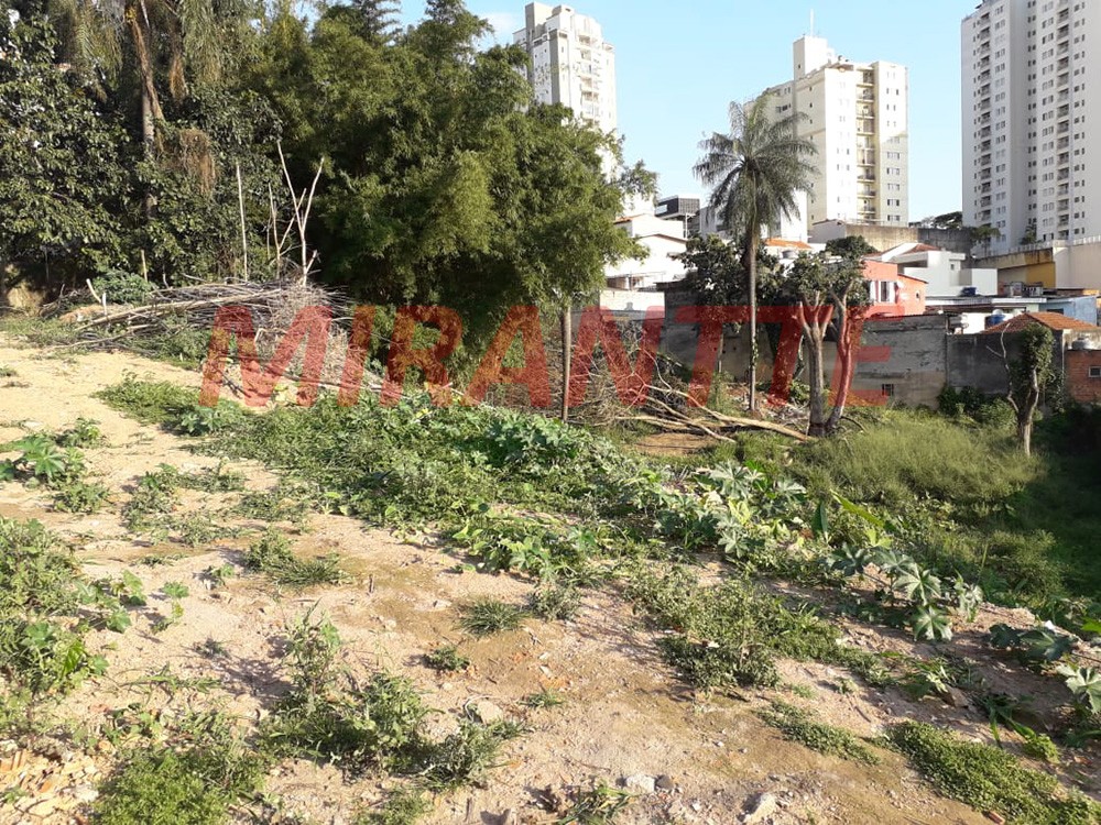 Terreno de 2340m² em Mandaqui