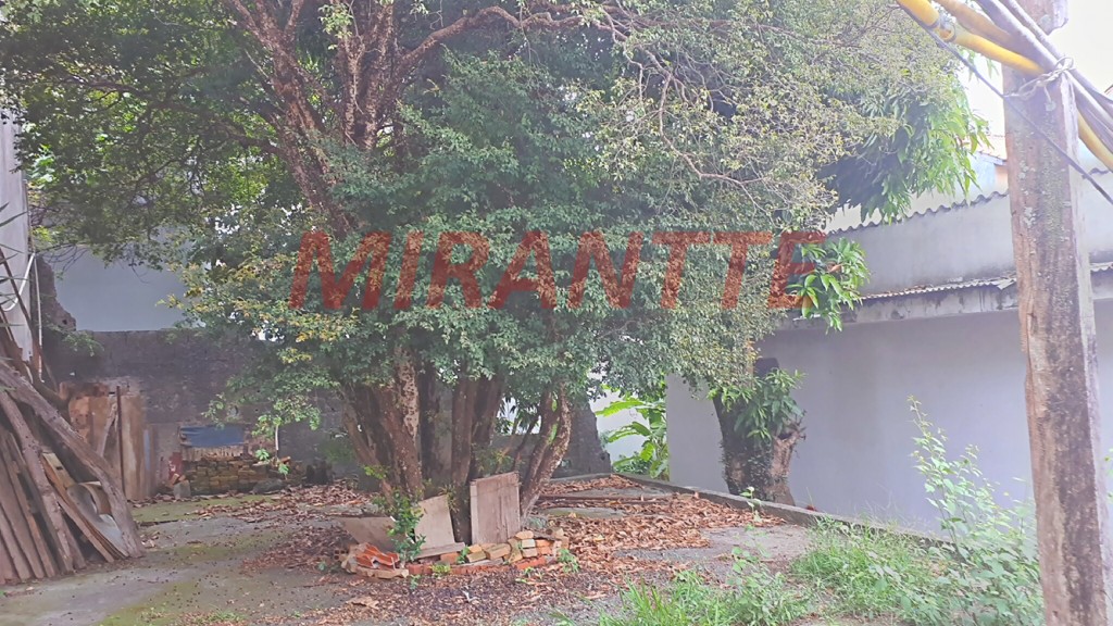 Casa terrea de 423m² com 3 quartos em Vila Pauliceia