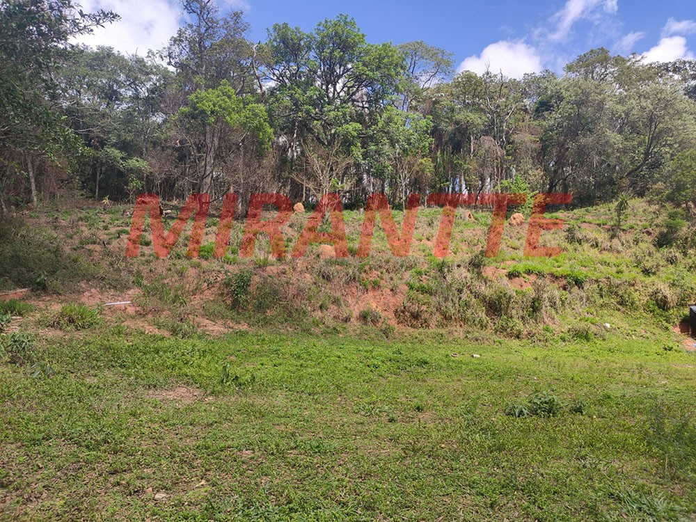 Terreno de 5.179m² em Terra Preta