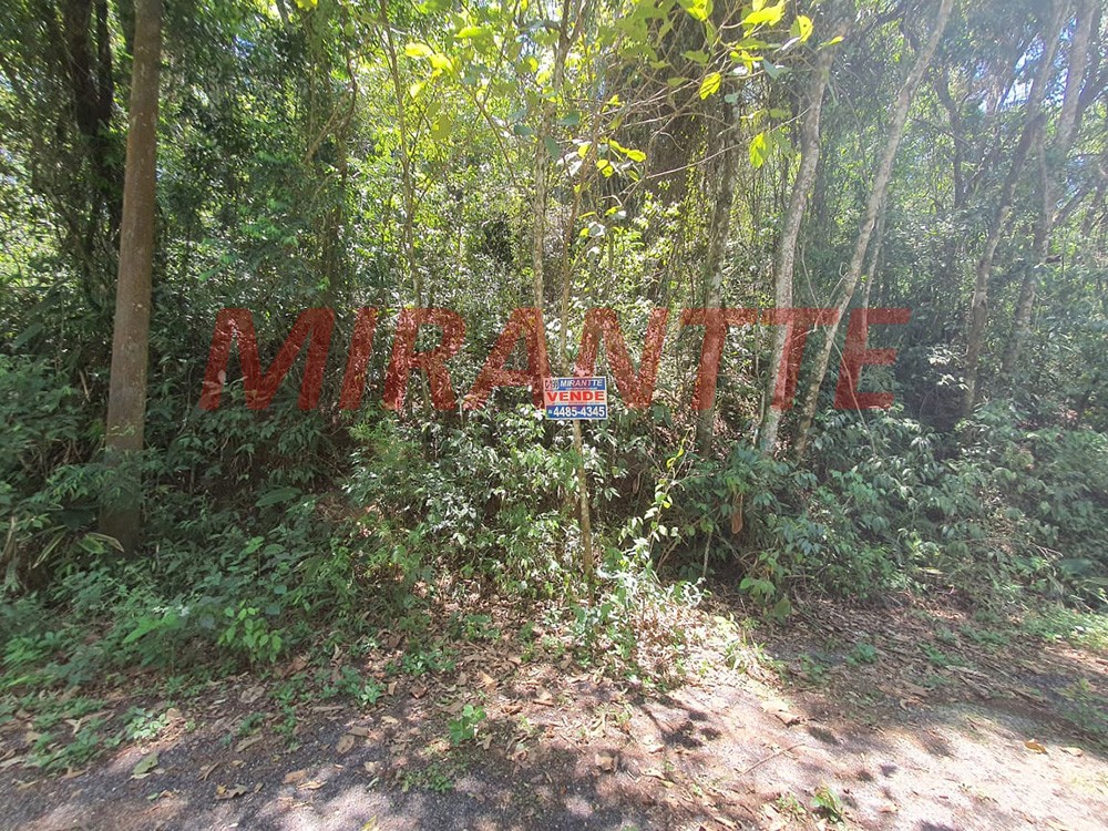 Terreno de 1327m² em Serra Da Cantareira