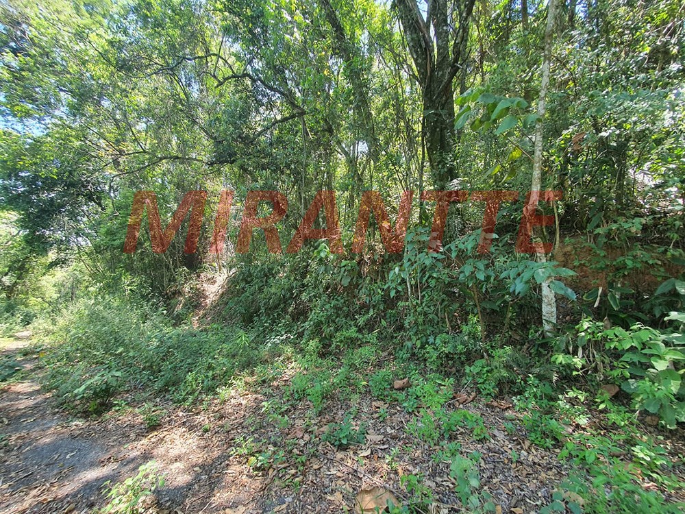 Terreno de 1.316m² em Serra Da Cantareira