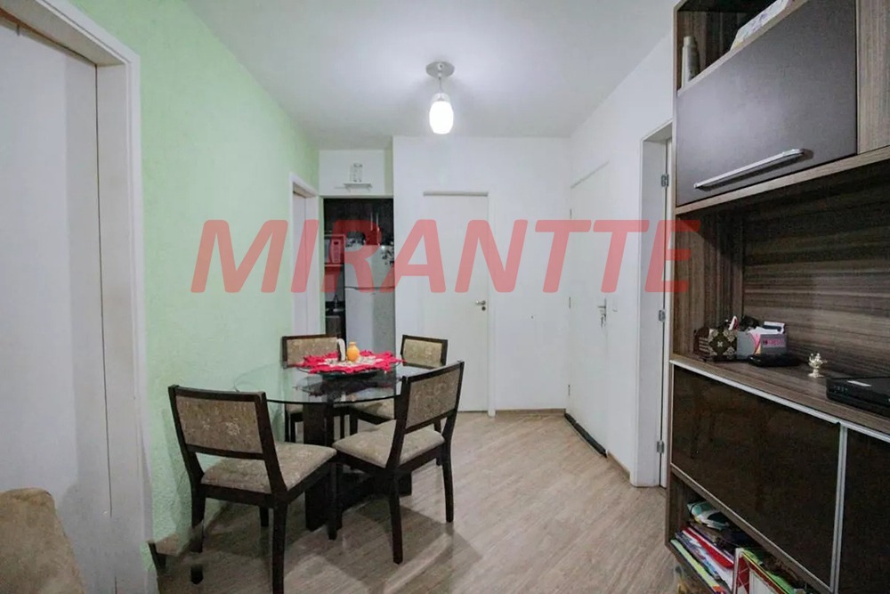 Apartamento de 50m² com 3 quartos em Vila Amalia