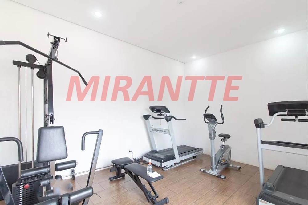 Apartamento de 50m² com 3 quartos em Vila Amalia
